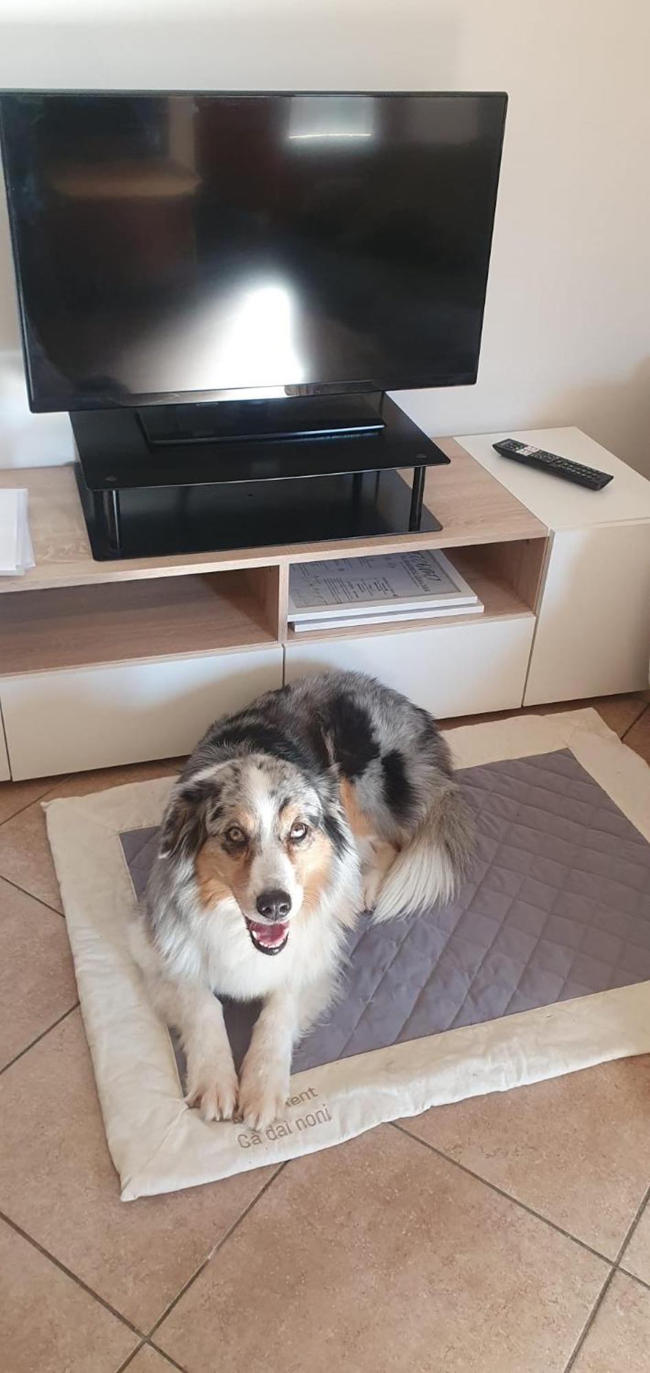 Apartment Ca Dai Noni Feriolo Eksteriør billede
